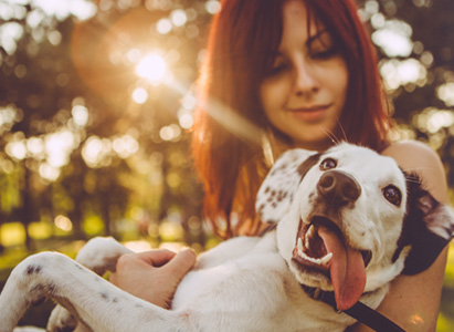Texas Dog Bite Attorneys