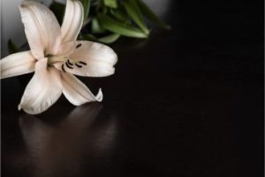 5 Things To Know After a Wrongful Death